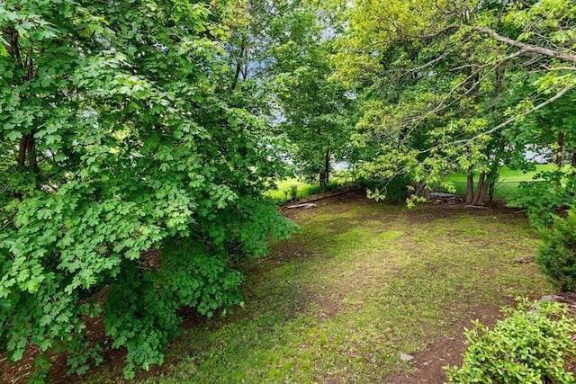 6 Manomet Rd, Woburn, MA 01801 - view of yard