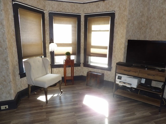 sitting room featuring dark wood-type flooring