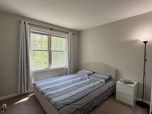 5 Samantha Way Unit 5, Acton, MA 01720 - carpeted bedroom with baseboards