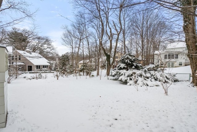 view of yard covered in snow