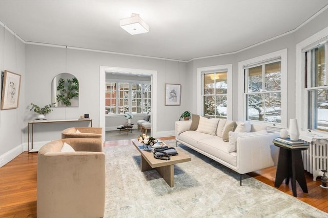 living room with hardwood / wood-style flooring, radiator, and crown molding