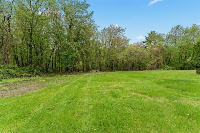 view of green lawn with a view of trees