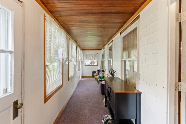 sunroom with wood ceiling, carpet flooring, and baseboards