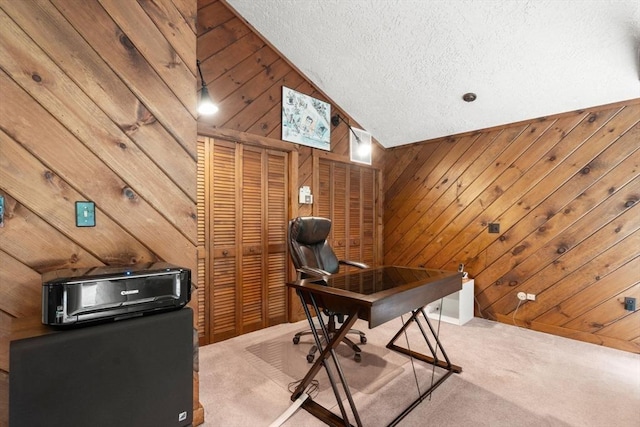 18 Juniper Ln, Framingham, MA 01701 - carpeted office space with wooden walls, lofted ceiling, and a textured ceiling