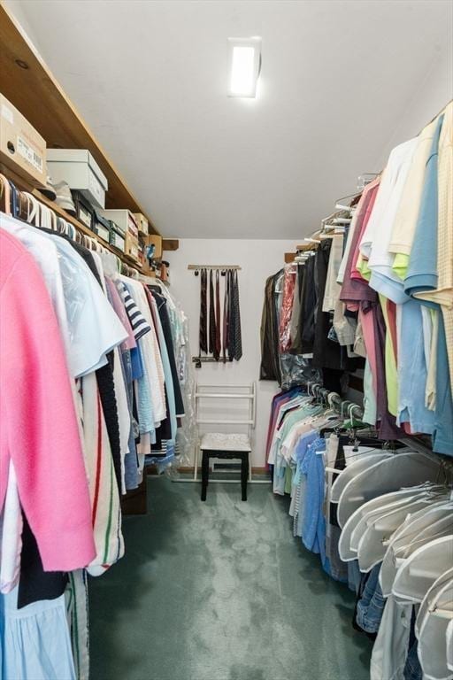 18 Juniper Ln, Framingham, MA 01701 - spacious closet with carpet floors and lofted ceiling