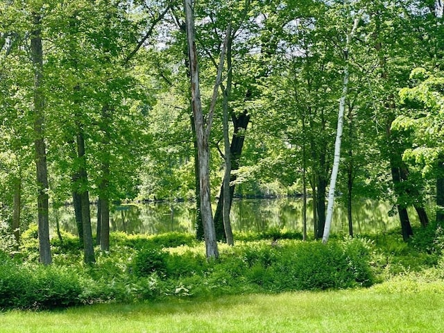 18 Juniper Ln, Framingham, MA 01701 - view of tree filled area