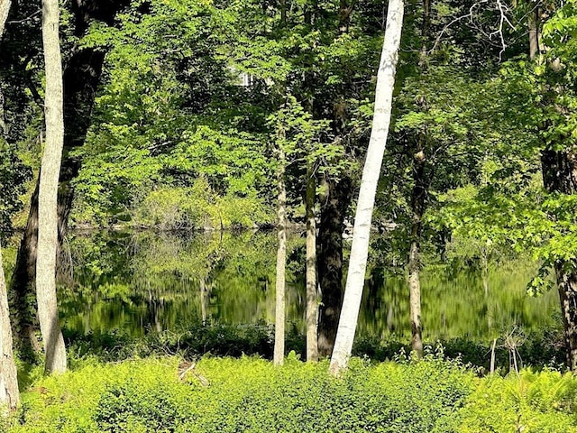 18 Juniper Ln, Framingham, MA 01701 - view of local wilderness featuring a large body of water