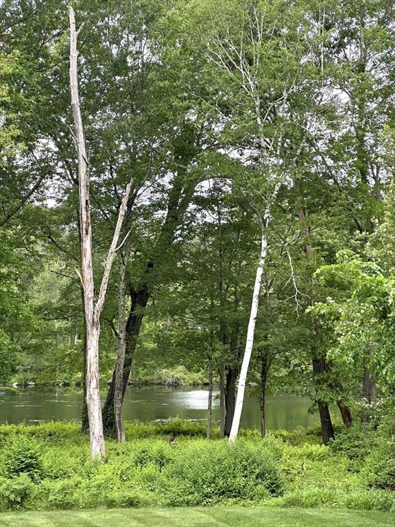 18 Juniper Ln, Framingham, MA 01701 - view of tree filled area with a water view