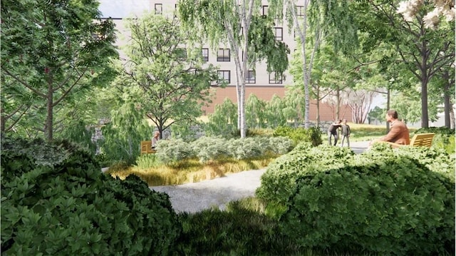 1025 Massachusetts Ave Unit 205, Arlington, MA 02476 - view of property's community