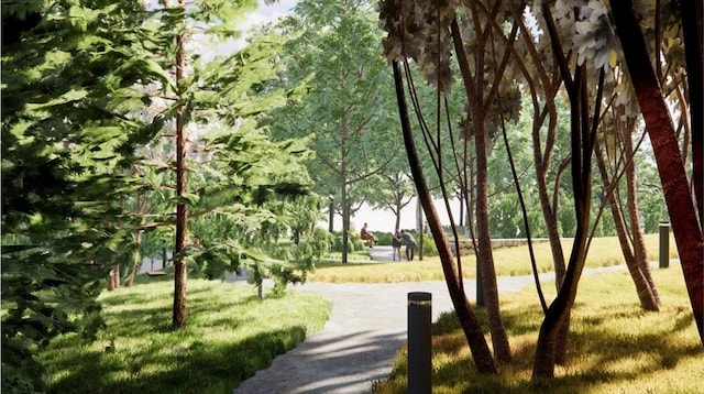 1025 Massachusetts Ave Unit 205, Arlington, MA 02476 - view of community featuring a yard