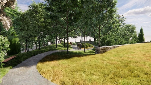 1025 Massachusetts Ave Unit 205, Arlington, MA 02476 - view of property's community featuring a lawn