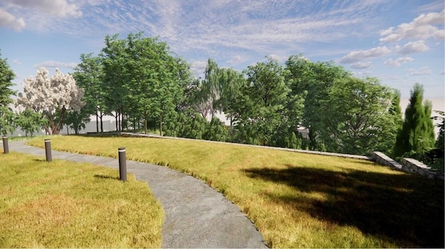 1025 Massachusetts Ave Unit 205, Arlington, MA 02476 - view of home's community featuring a yard