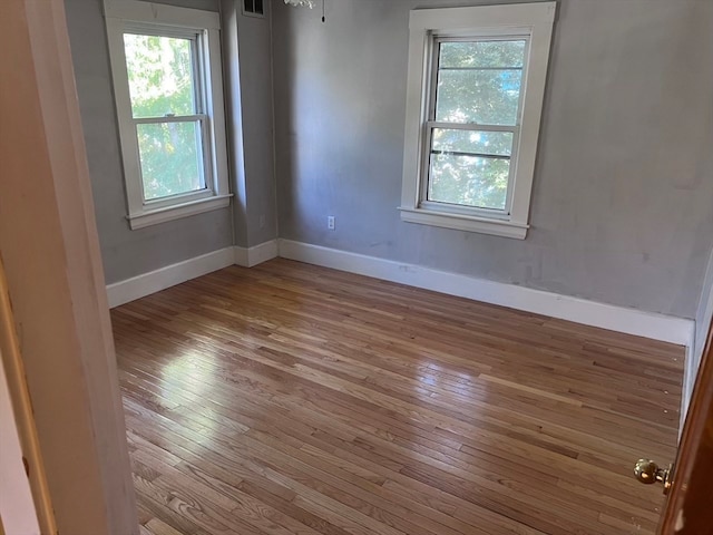 empty room featuring light wood-type flooring and a wealth of natural light