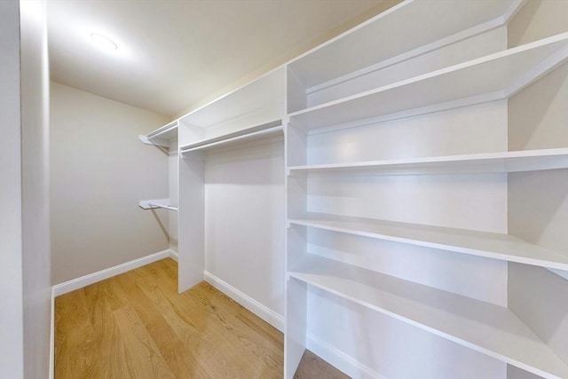 walk in closet featuring wood-type flooring