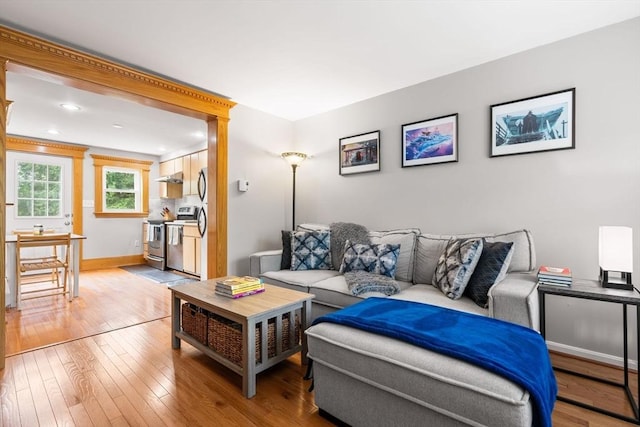 21 Fallon Ct Unit 21, Quincy, MA 02169 - living area with wood-type flooring and recessed lighting