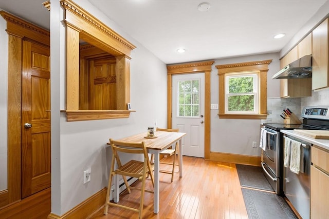 21 Fallon Ct Unit 21, Quincy, MA 02169 - kitchen with appliances with stainless steel finishes, under cabinet range hood, light wood-style floors, tasteful backsplash, and recessed lighting