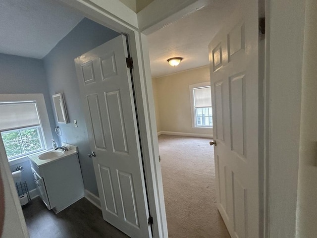 36 Edwards St, Quincy, MA 02169 - hall with healthy amount of natural light, a sink, baseboards, and dark carpet