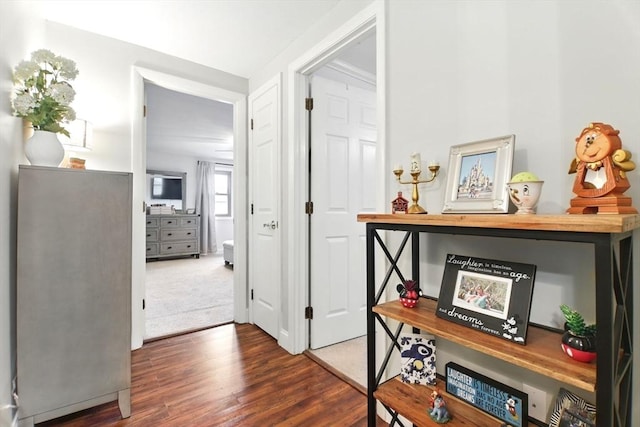 78 Yorktown Ct Unit 78, Chicopee, MA 01020 - hallway featuring wood finished floors