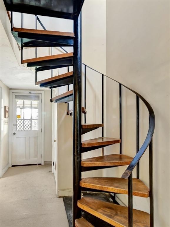 stairway with carpet floors