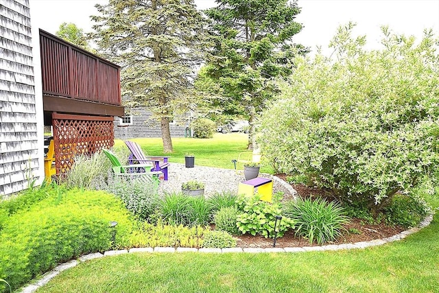 view of grassy yard