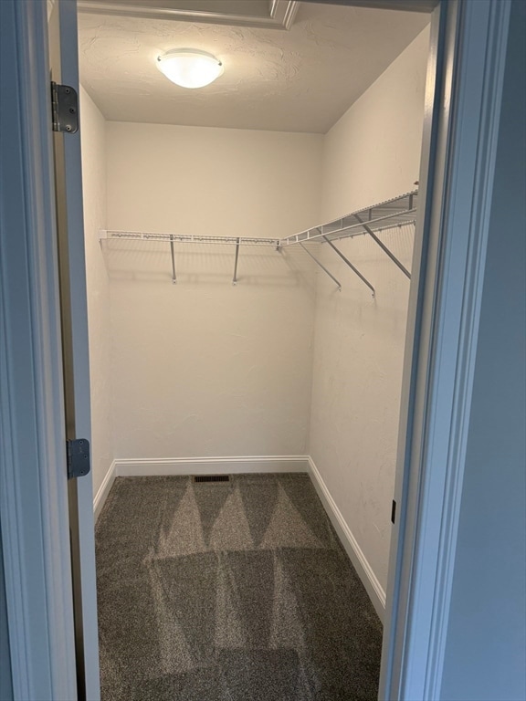 spacious closet with carpet floors