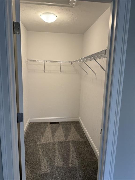 spacious closet with carpet