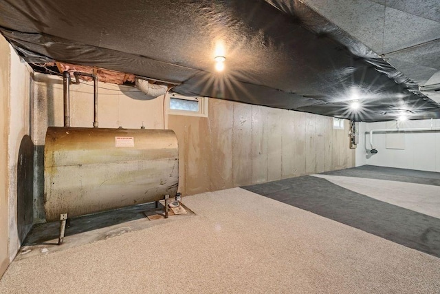 basement with carpet floors