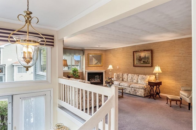 carpeted living area featuring a notable chandelier, plenty of natural light, ornamental molding, and a fireplace