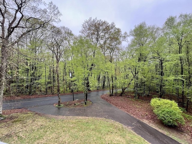 196 Munn Rd, Monson, MA 01057 - view of home's community with a forest view