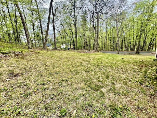 196 Munn Rd, Monson, MA 01057 - view of green lawn featuring a forest view