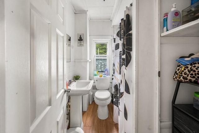 81-83 Walnut St, Lynn, MA 01905 - bathroom with wood finished floors, toilet, and a sink