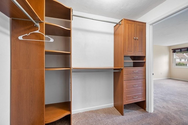 14 Midgley Ln, Worcester, MA 01604 - walk in closet with carpet