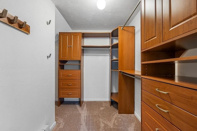 14 Midgley Ln, Worcester, MA 01604 - walk in closet featuring carpet flooring