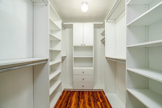 walk in closet featuring dark wood-type flooring