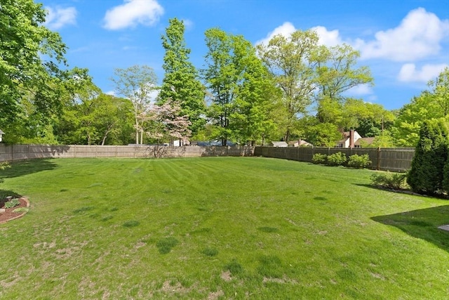 40 George St, Attleboro, MA 02703 - view of yard