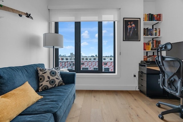 home office featuring light hardwood / wood-style floors