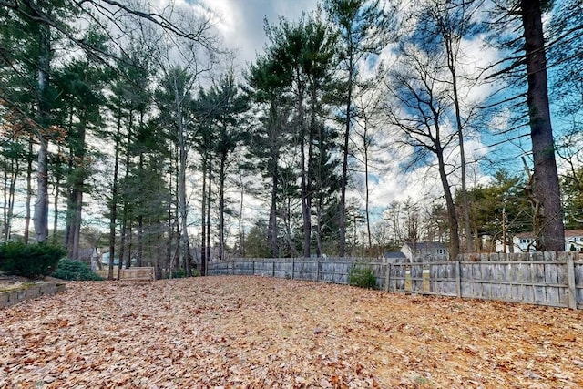 view of yard featuring fence