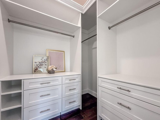 spacious closet featuring dark hardwood / wood-style flooring