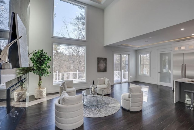 living room featuring a towering ceiling, dark wood-type flooring, a premium fireplace, and a raised ceiling