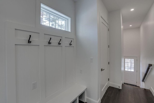 mudroom featuring dark hardwood / wood-style floors and a wealth of natural light