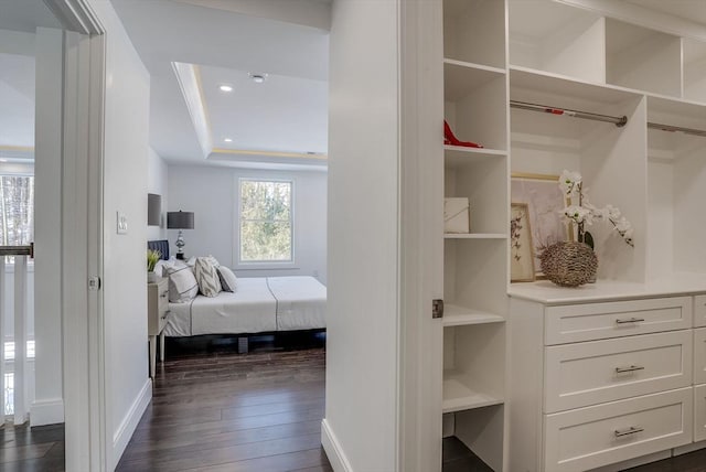 spacious closet with a raised ceiling and dark wood-type flooring