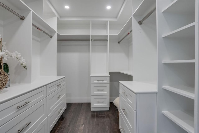 walk in closet featuring dark hardwood / wood-style flooring