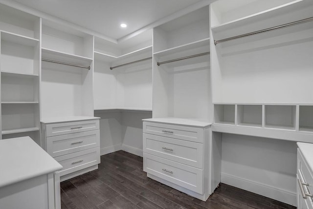 walk in closet featuring dark hardwood / wood-style floors