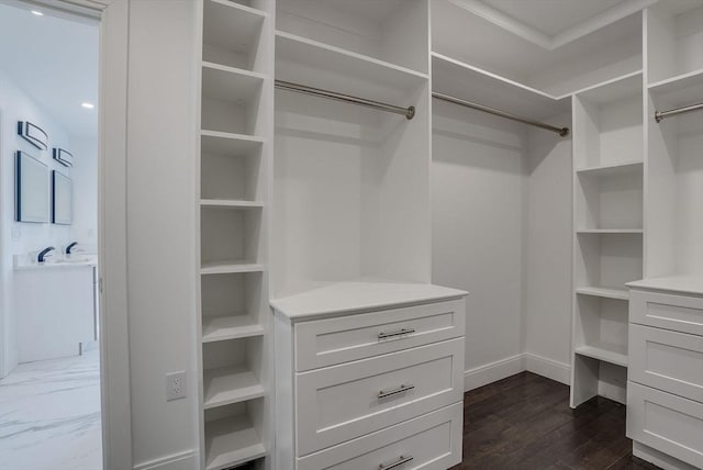 walk in closet with dark hardwood / wood-style floors