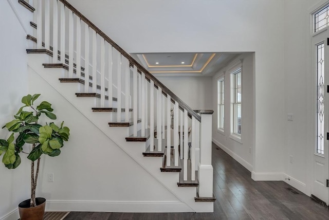 entrance foyer featuring crown molding, a tray ceiling, dark hardwood / wood-style floors, and a wealth of natural light