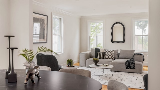 living room featuring hardwood / wood-style flooring and crown molding