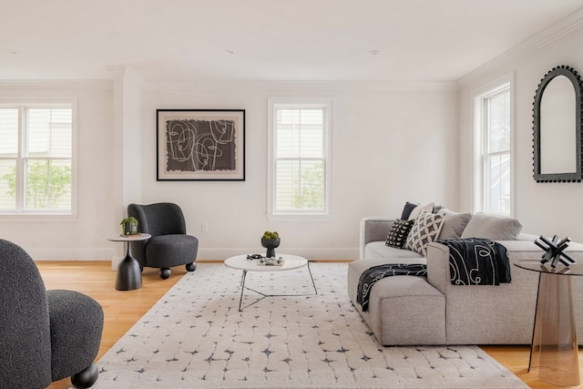 living room featuring hardwood / wood-style flooring and crown molding