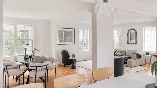 dining space with light hardwood / wood-style floors and ornamental molding