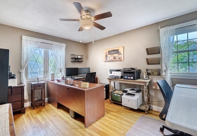 13 Tamarack Rd, Medfield, MA 02052 - office space featuring light wood-style floors and ceiling fan