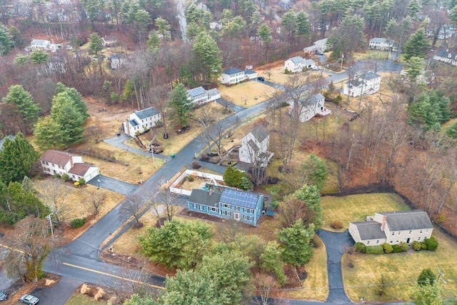 drone / aerial view
